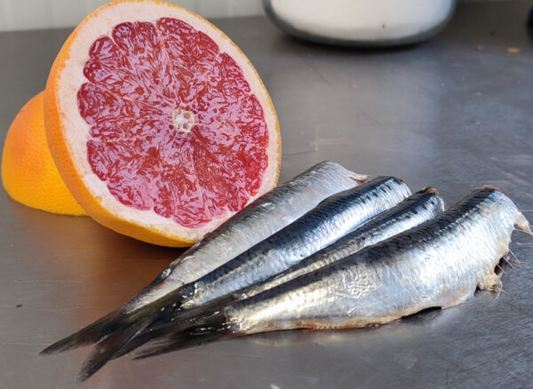 Sardine & Pomelo